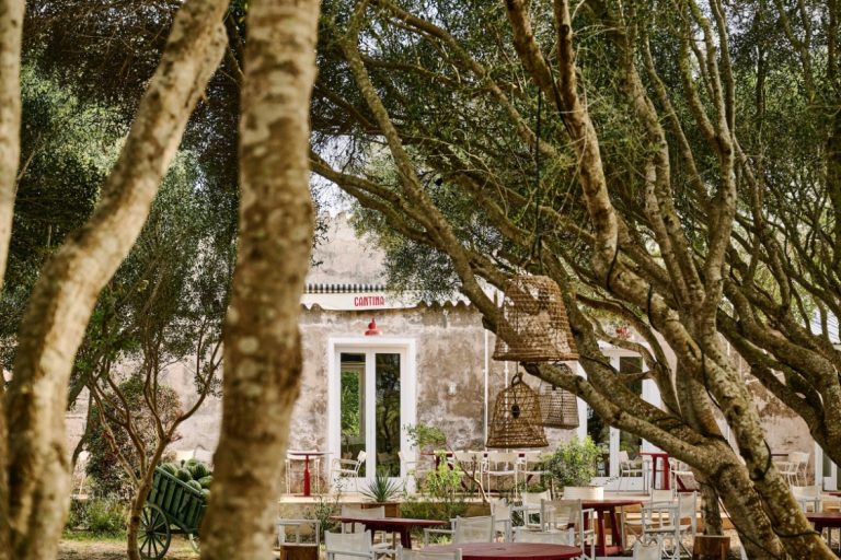 the restaurant from the olive grove with tables