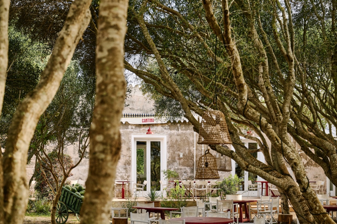 the restaurant from the olive grove with tables