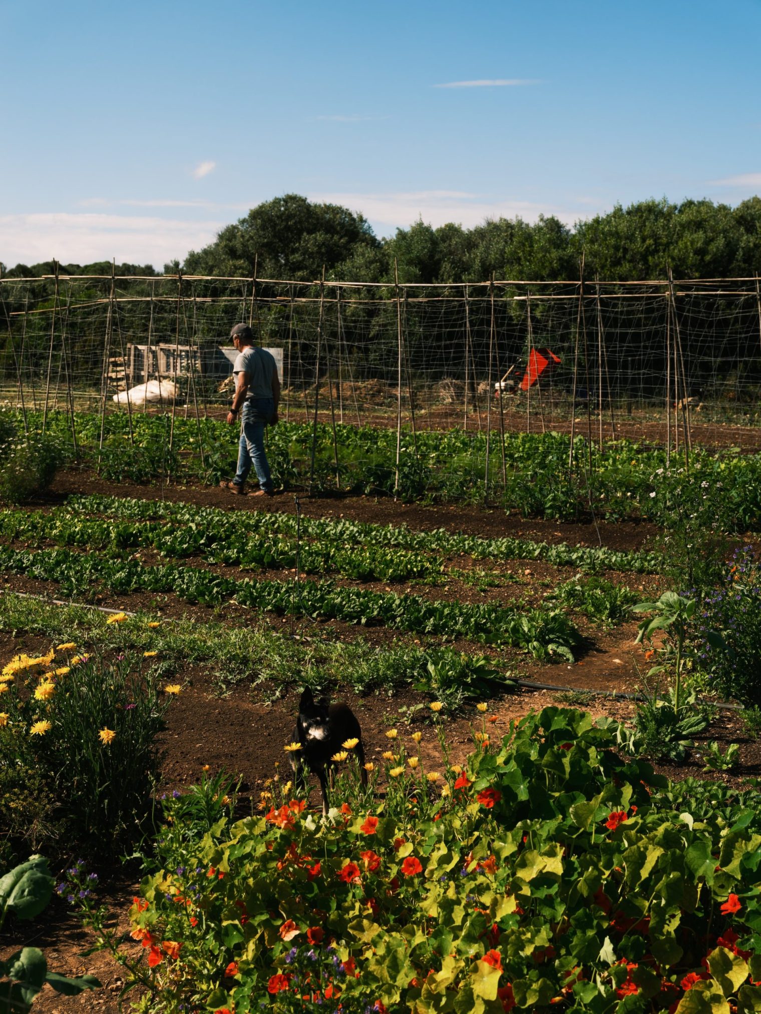 Cantina May Suppliers 25 28